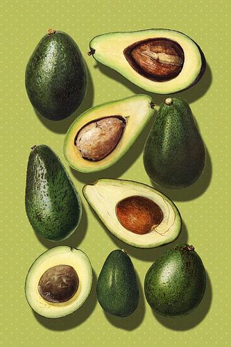 Avocado Art