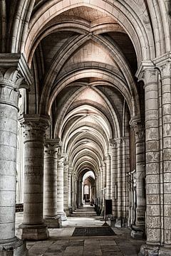 Doorkijk in de kathedraal van Laon van Ellen van Schravendijk