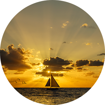 Deze prachtige ochtend ontmoet zijn eerste boot en een zwerm vogels.