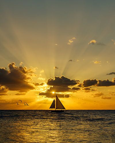 An diesem schönen Morgen treffen wir auf das erste Boot und einen Vogelschwarm.