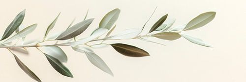 Olijftak in zachte kleuren