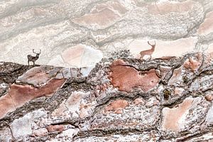 Kunst mit Damhirschen