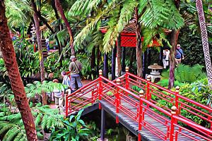 Oriental Gardens Madeira 1