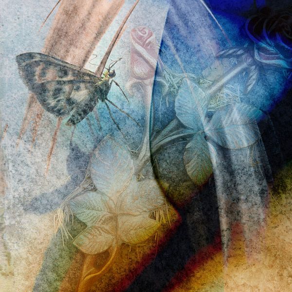 Verdwaalde vlinder by Maura Klumper