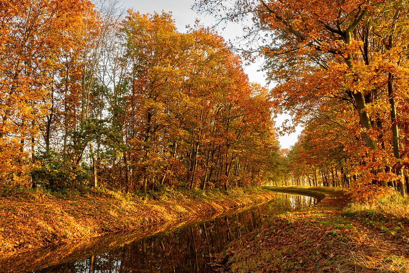 De geschiedenis van de herfst langs de Regge in Enter van Helga Blanke