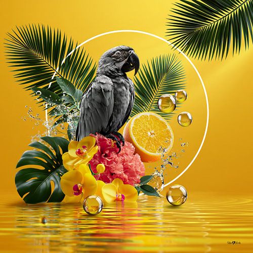 Tropische Vogel
