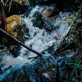Beauté de la rivière Rocky dans les montagnes sur Artkreator