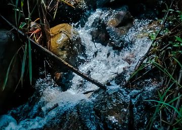 Beauté de la rivière Rocky dans les montagnes