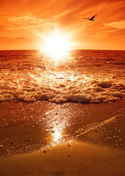 Sunset by Bo Valentino