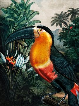 Toucan dans la jungle tropicale verte sur Kjubik