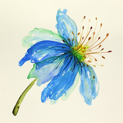 Tropische blauwe bloem (kleurrijk aquarel schilderij natuur mooie grote plant realisme groen blauw)