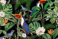The paradise of the toucan