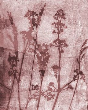 Sogni di fiori.  Retro Blumen, Pflanzen und Gräser in braun von Dina Dankers