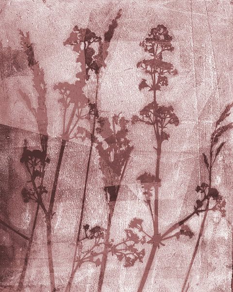 &quot;Sogni di fiori&quot;. Retro flowers, plants and grasses in brown by Dina Dankers