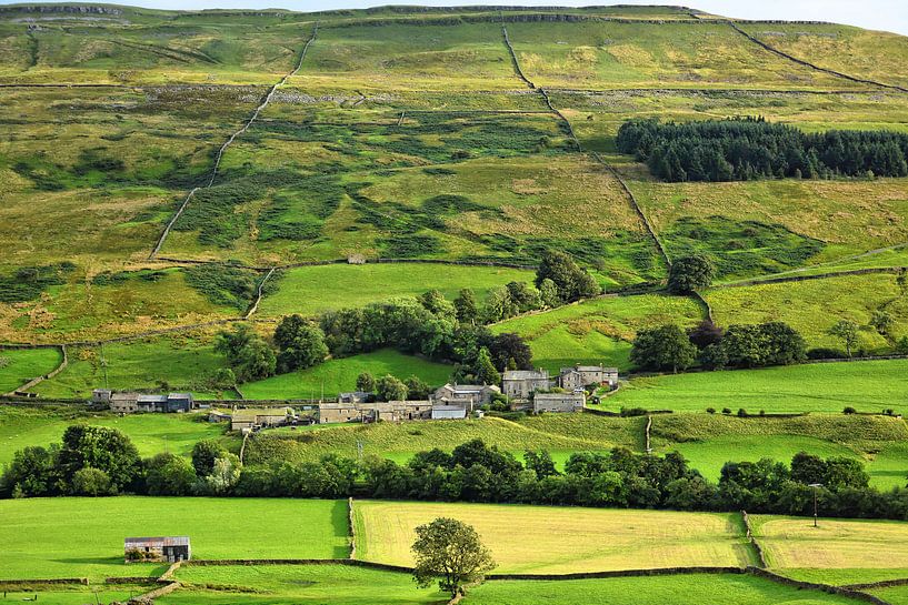 Blick auf den Weiler Satron im Swaledale von Gisela Scheffbuch