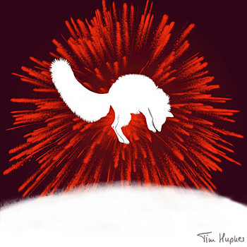 The Hunt: jagende witte vos