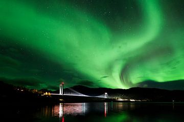 Noorderlicht boven Narvik van Johannes Dittrich