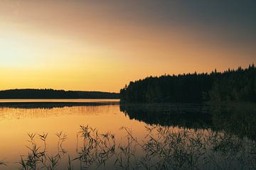 Gouden zonsondergang boven een rustig bosmeer in Scandinavië.