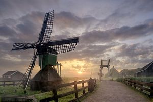 Mühle Zaanse Schans mit Bodennebel