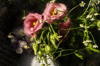 Macrofoto van een boeket bloemen met waterdruppels