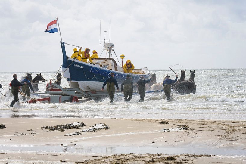 Paardenreddingsboot von BeeldWoord