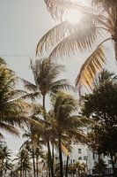 Miami Florida