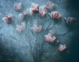 Unsere Liebe wird die gleiche sein von Kahar Lagaa