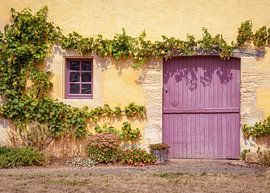 Weinreben an einer Dorfmauer von MMFoto