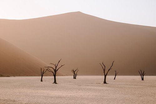 De deadvlei in Sossusvlei Nationaal Park, Namibië