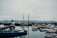 IJslandse haven