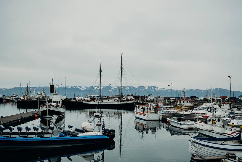 Isländischer Hafen von Pascal Verheul