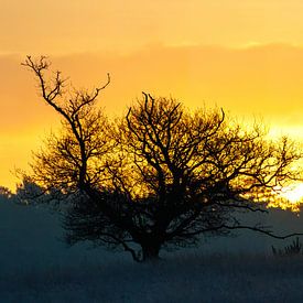 Sonnenaufgang von joas wilzing
