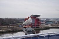 meeuw op lamp van cruise schip