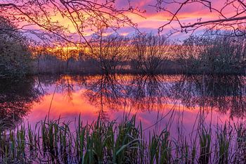 Weerspiegeling op het water tijdens zonsondergang in Meppel