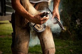 Hoefsmid in actie van anne droogsma