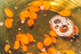 Little girl van didier de borle