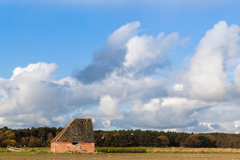 Schafstall auf Texel mit holländischem Himmel von Simone Janssen