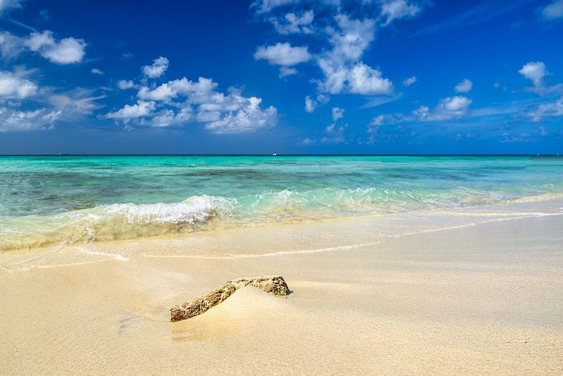 Vue sur la côte pierreuse d'Aruba et sur la mer des Caraïbes. par Andreas Völkel