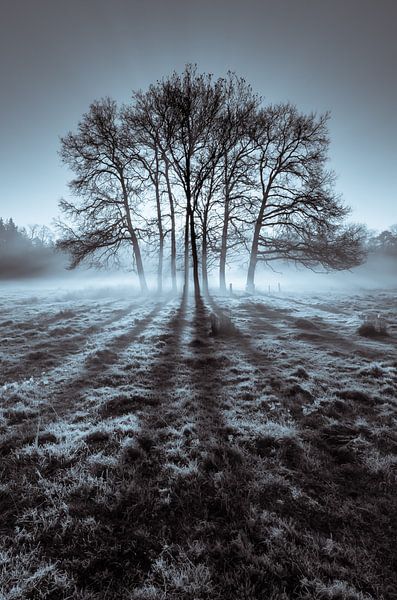 Heeze 47 by Deshamer