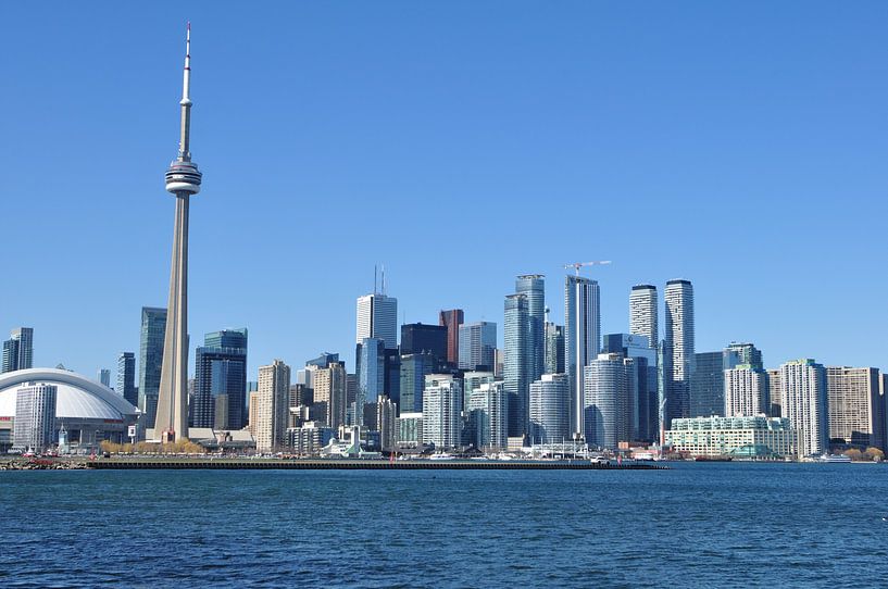 Toronto skyline by Farzad Madjdian