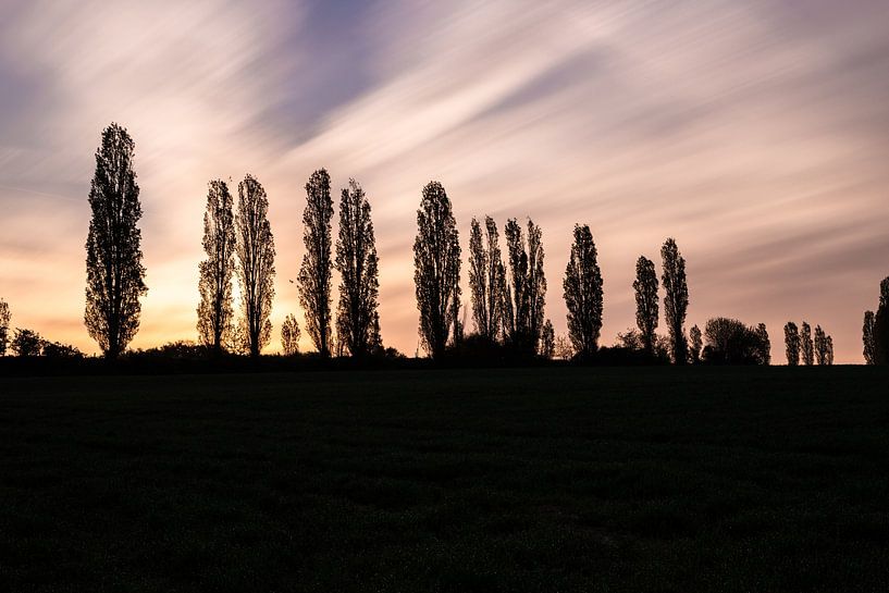 Zonsopgang met een lange sluiterrijd bij een silhoutte Italiaanse populier bomen landschap van Kim Willems