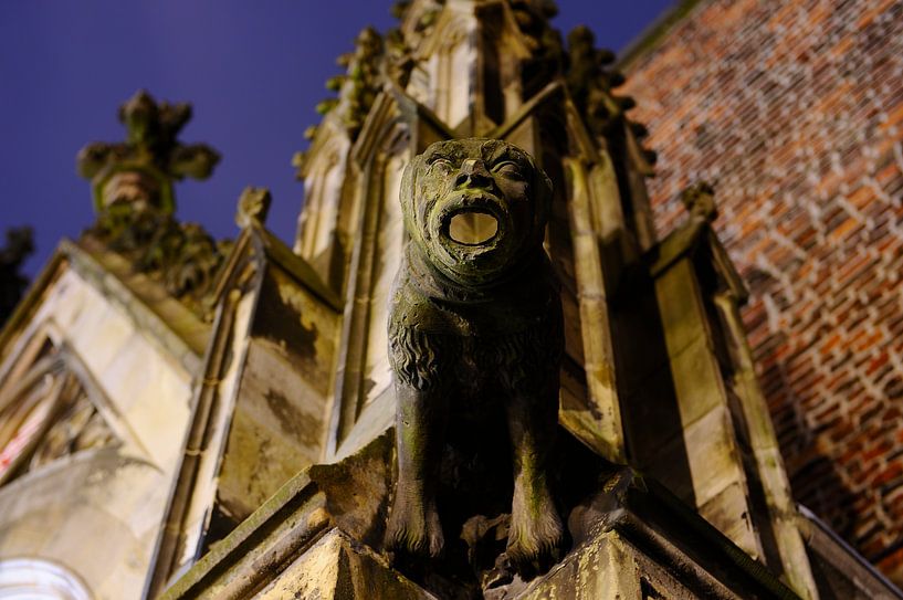 Waterspuwer op de toegangspoort naar de pandhof van de Domkerk in Utrecht van Donker Utrecht