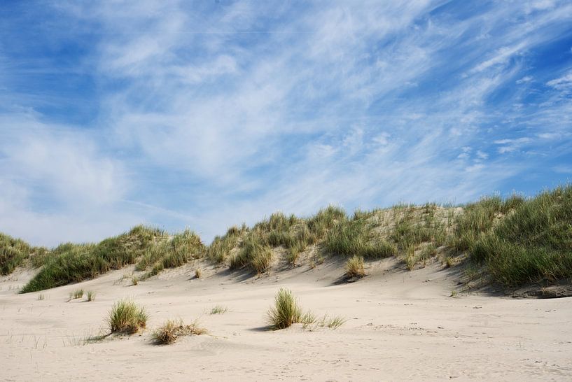 Duingras op het strand van Baltrum van Anja B. Schäfer