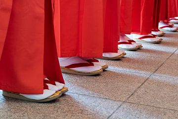 Meisjes feest in Japan, een groep meisjes staat klaar van Frans Rombout