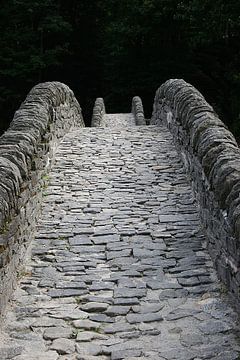 Auf-dem-Weg-in-der-Natur--Brücke-01 von Katja Goede