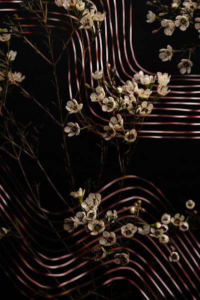 Waxbloemen met digitale grafische lijnen van Misty Melodies