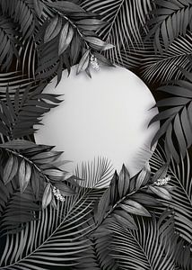 TW living - SUNRISE BLACK MOMENTS