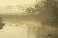 Kreek in de mist van Willian Goedhart thumbnail