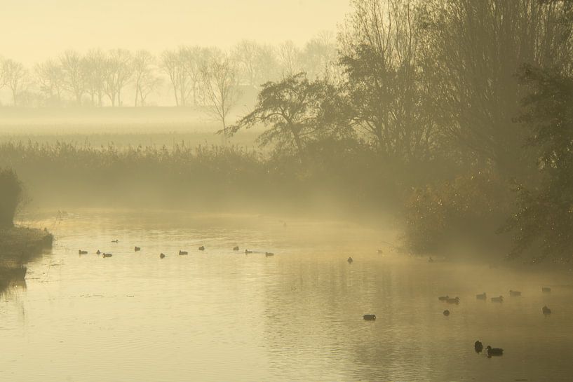 Kreek in de mist van Willian Goedhart