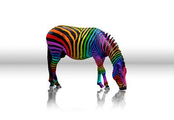 Regenboog Zebra van Christiane Calmbacher
